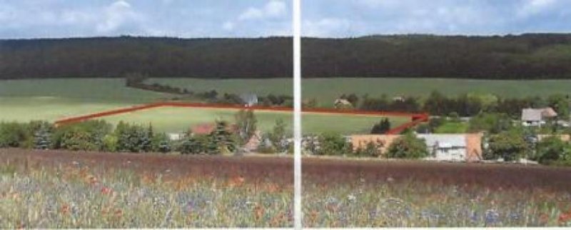 Meisdorf Baugrundstück Bauen mit Vision im Einklang mit der Natur
Grundstück kaufen