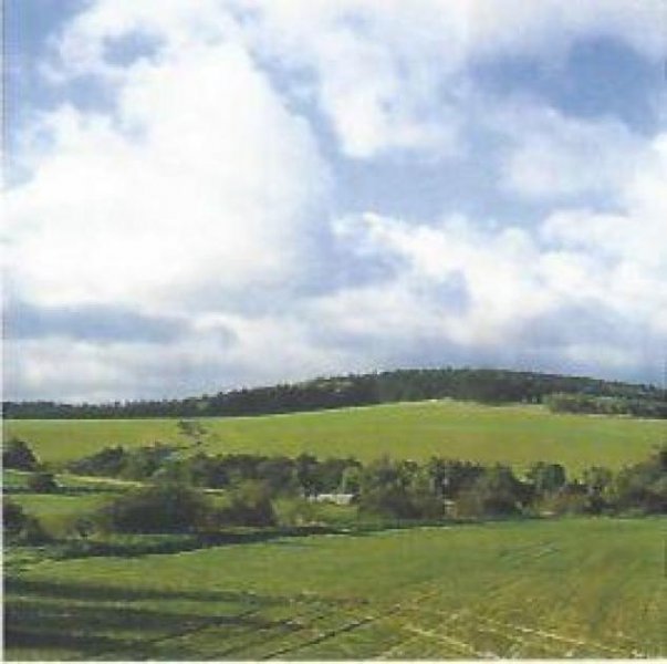 Meisdorf Baugrundstück Bauen mit Vision im Einklang mit der Natur
Grundstück kaufen