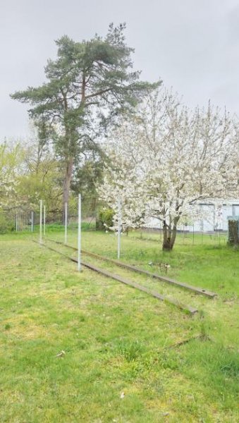 Dessau-Roßlau sanierungsbedürftige Doppelhaushälfte in begehrter Lage in Roßlau Haus kaufen