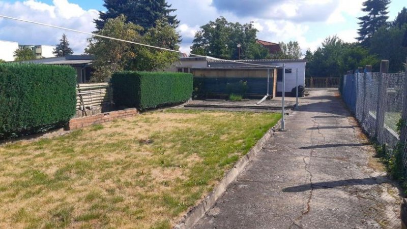 Coswig Beziehbares Haus mit Garten, Gartenhaus, Carport und Doppelgarage - auch für größere Familien Haus kaufen