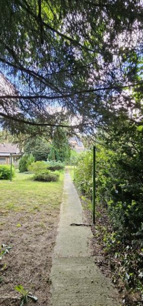 Straach Flexibel wohnen im Grünen - EFH mit Einliegerwohnung in Reinsdorf Haus kaufen