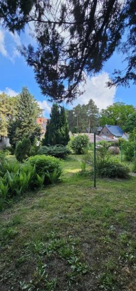 Straach Mehr Zuhause - Ihr Rückzugsort in Reinsdorf Haus kaufen