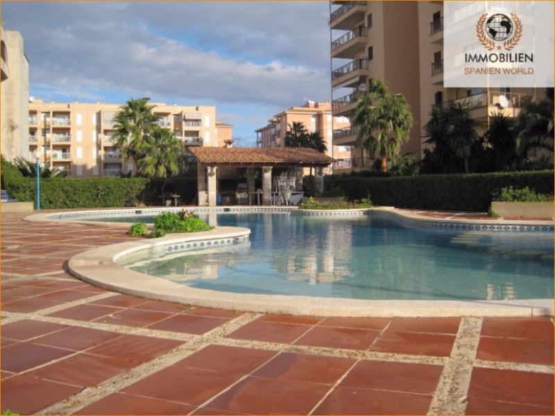 Las Palmeras Palma de Mallorca Schöne Wohnung in Las Palmeras Wohnung kaufen