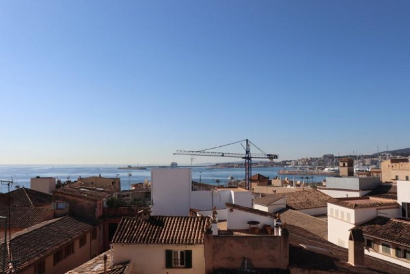 Palma de Mallorca Investment: Haus mit 6 Wohnungen in der Altstadt, Palma de Mallorca zu verkaufen Wohnung kaufen