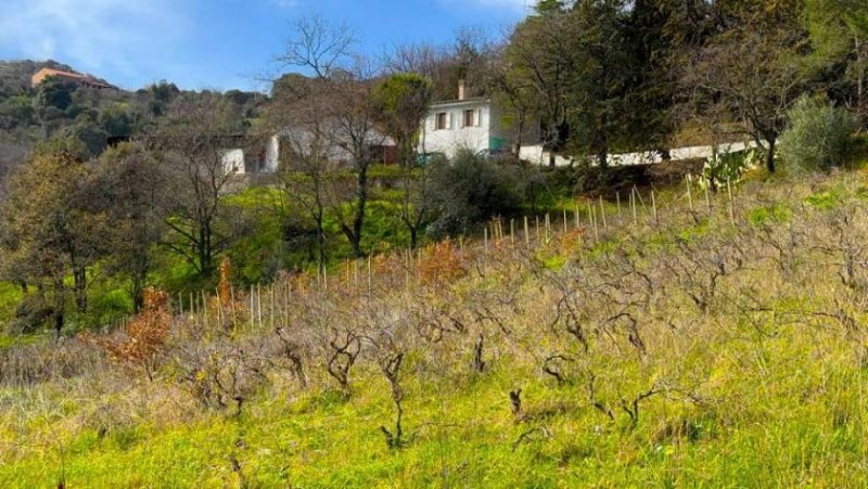 Ozieri Villa Bianca - Ozieri Haus mit Gästehaus und großem Umschwung Haus kaufen