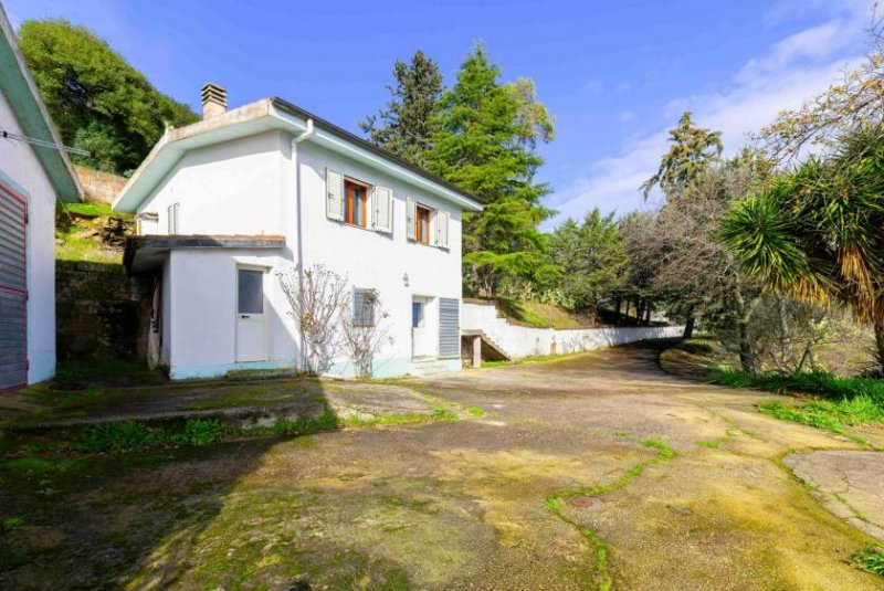 Ozieri Villa Bianca - Ozieri Haus mit Gästehaus und großem Umschwung Haus kaufen