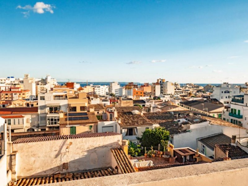 Palma de Mallorca Grosszügiges, renoviertes 4 Zimmer Apartment in guter Gegend von Palma Wohnung kaufen