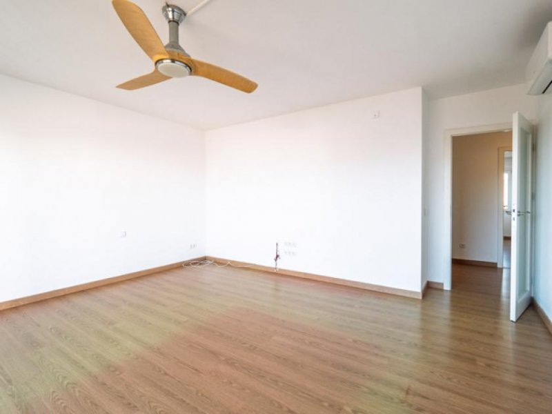 Palma de Mallorca Grosszügiges, renoviertes 4 Zimmer Apartment in guter Gegend von Palma Wohnung kaufen