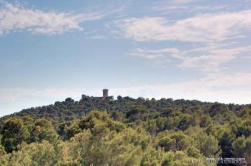 Palma Spektakuläres Duplex-Penthouse mit traumhaftem Blick Wohnung kaufen