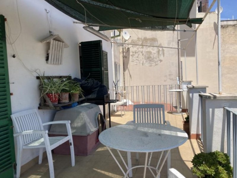 Palma de Mallorca Penthouse zum Renovieren Wohnung kaufen