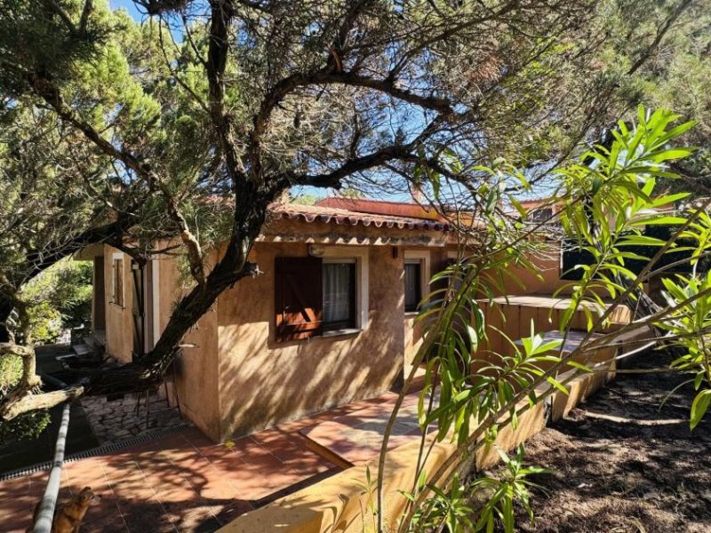 Aglientu Ferienhaus in Rena Majore kaufen Haus kaufen