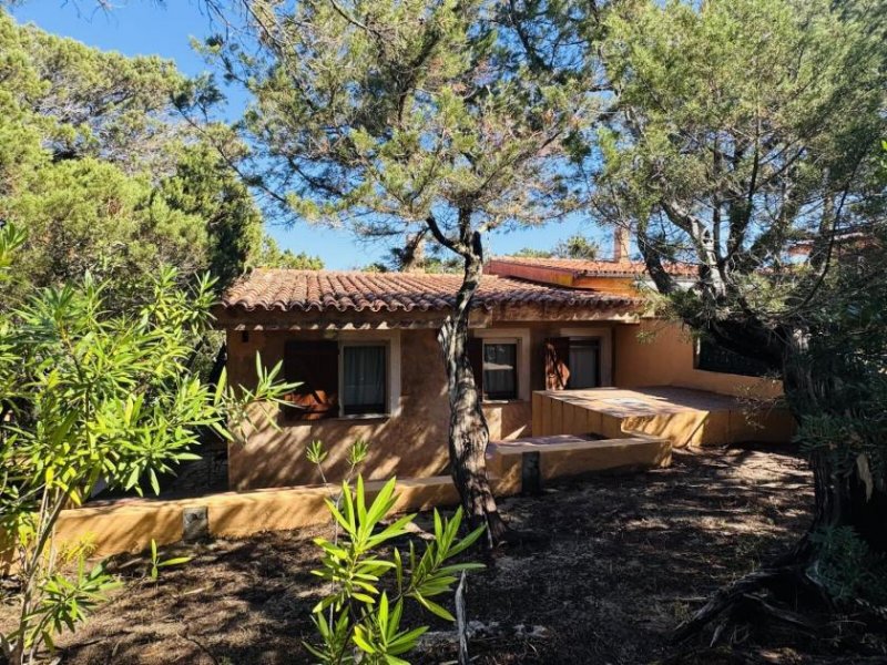 Aglientu Ferienhaus in Rena Majore kaufen Haus kaufen