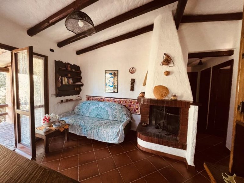 Aglientu Ferienhaus in Rena Majore kaufen Haus kaufen