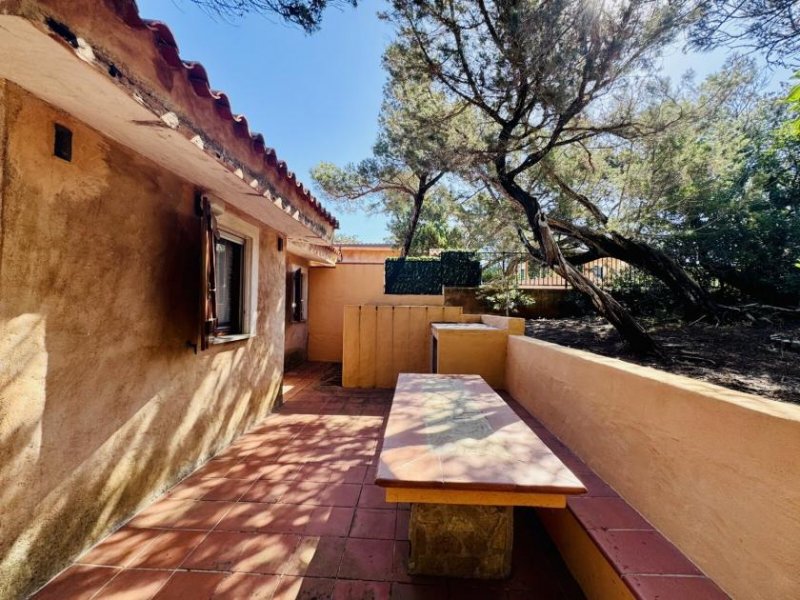 Aglientu Ferienhaus in Rena Majore kaufen Haus kaufen