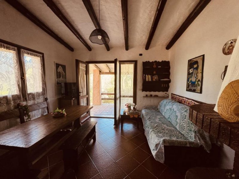 Aglientu Ferienhaus in Rena Majore kaufen Haus kaufen