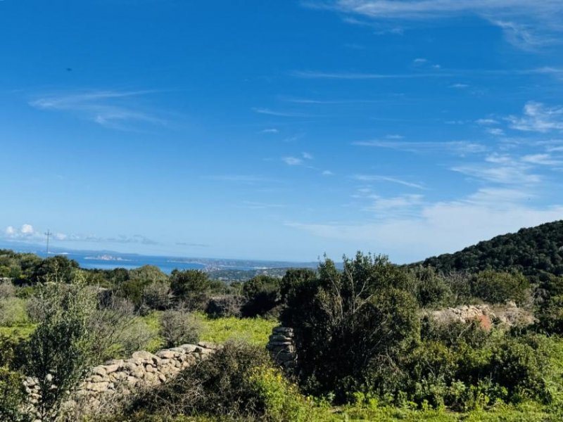 Aglientu Großes Haus mit 4 Appartements, 60 Hektar, Meerblick Haus kaufen