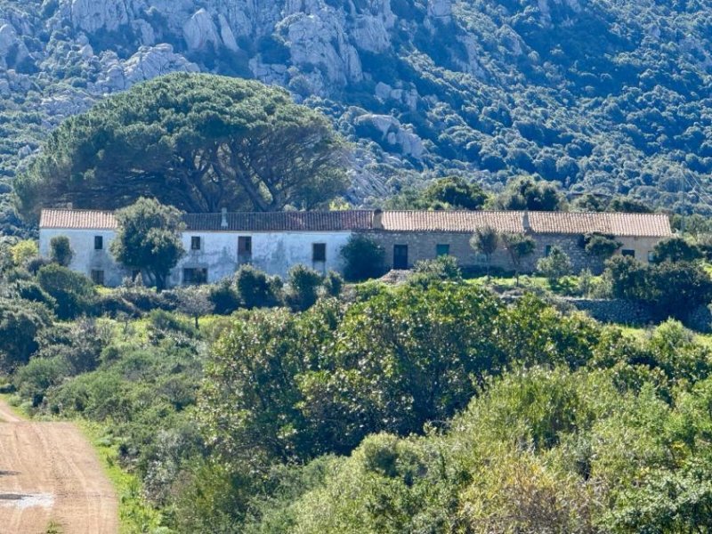 Aglientu Großes Haus mit 4 Appartements, 60 Hektar, Meerblick Haus kaufen