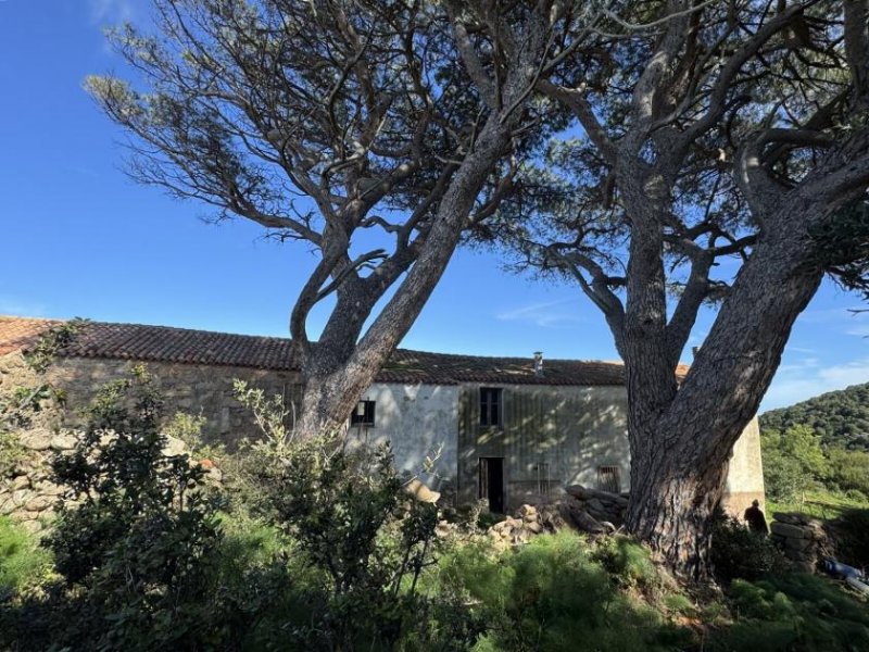 Aglientu Großes Haus mit 4 Appartements, 60 Hektar, Meerblick Haus kaufen