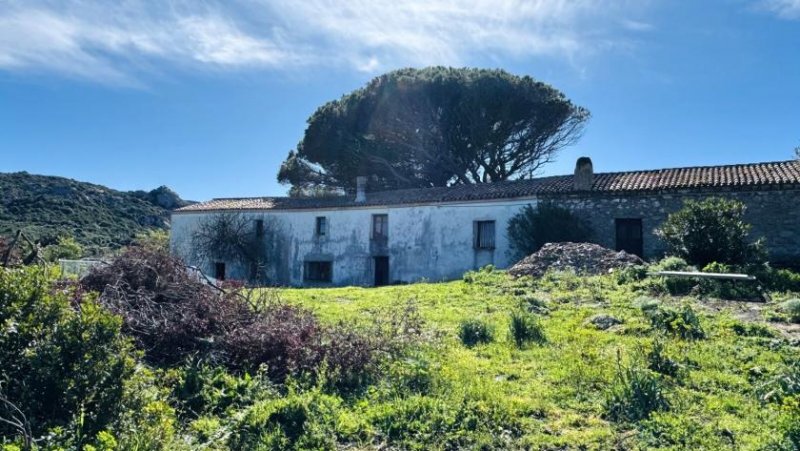 Aglientu Großes Haus mit 4 Appartements, 60 Hektar, Meerblick Haus kaufen