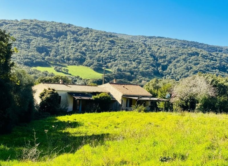 Aglientu Restauriertes Stazzo in San Biago, 15 min bis zum Meer Haus kaufen