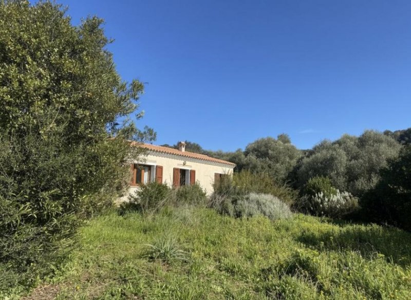 Aglientu Restauriertes Stazzo in San Biago, 15 min bis zum Meer Haus kaufen