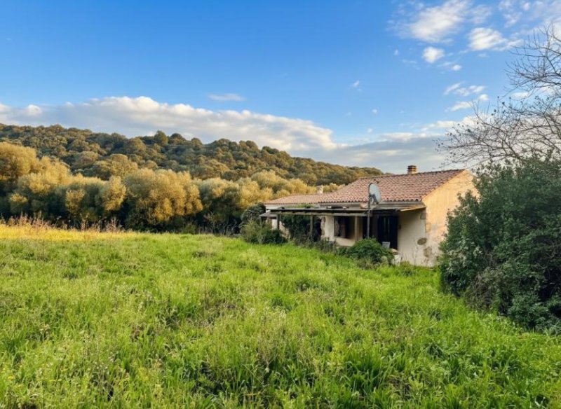 Aglientu Restauriertes Stazzo in San Biago, 15 min bis zum Meer Haus kaufen