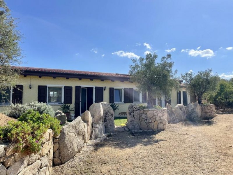 Bassacutena Perfektes Landhaus mit Pool in Gallura, 3 Hektar Haus kaufen