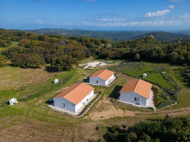 Luogosanto 3 Häuser, Pool, Ruhe, Meerblick, 5 Hektar, Luogosanto Haus kaufen