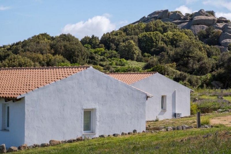 Luogosanto 3 Häuser, Pool, Ruhe, Meerblick, 5 Hektar, Luogosanto Haus kaufen