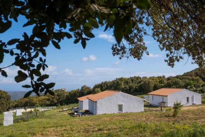 Luogosanto 3 Häuser, Pool, Ruhe, Meerblick, 5 Hektar, Luogosanto Haus kaufen