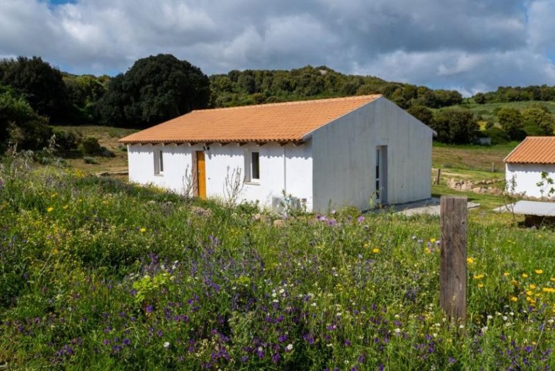 Luogosanto 3 Häuser, Pool, Ruhe, Meerblick, 5 Hektar, Luogosanto Haus kaufen