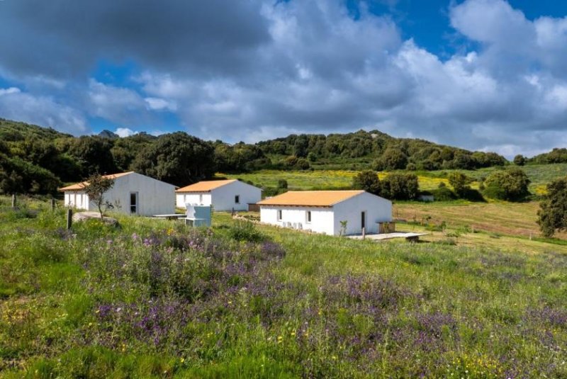Luogosanto 3 Häuser, Pool, Ruhe, Meerblick, 5 Hektar, Luogosanto Haus kaufen