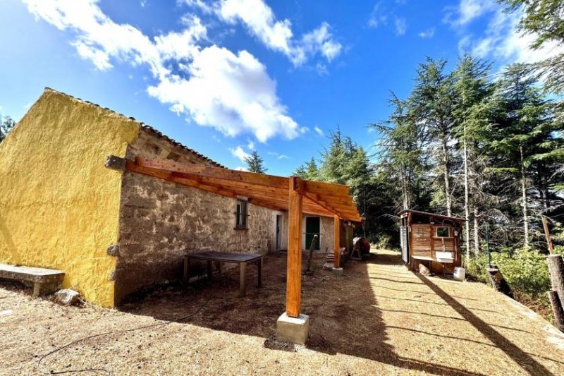 Luras Teilrestauriertes Stazzo mit 1 Hektar, 40 Hektar zusätzlich Haus kaufen