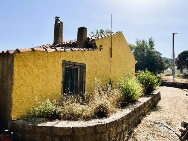 Luras Teilrestauriertes Stazzo mit 1 Hektar, 40 Hektar zusätzlich Haus kaufen
