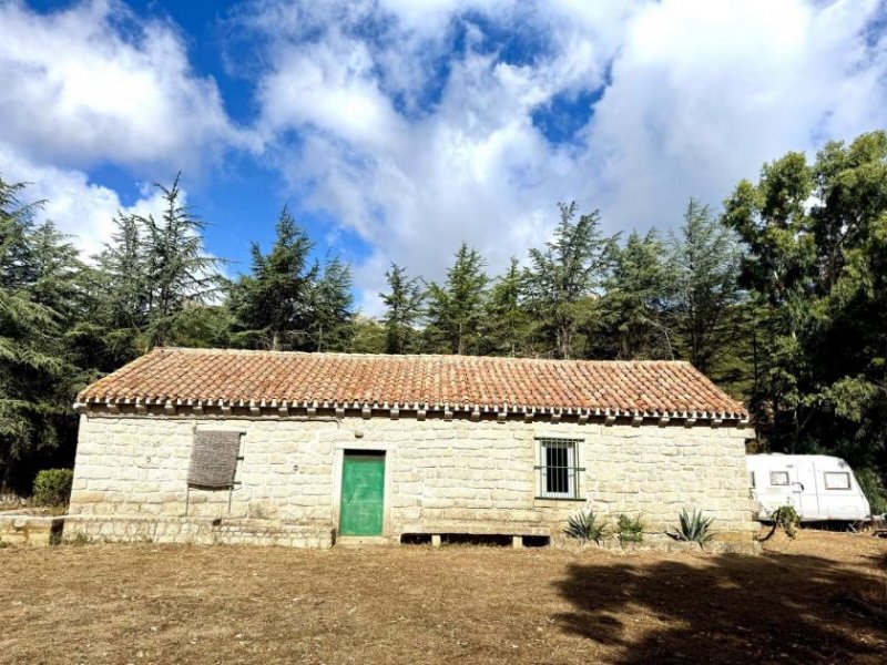 Luras Teilrestauriertes Stazzo mit 3,5 Hektar, Luogosanto Haus kaufen