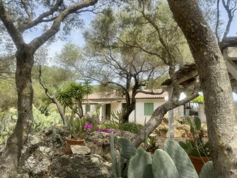 Olbia Wunderschönes Anwesen bei San Pantaleo Haus kaufen
