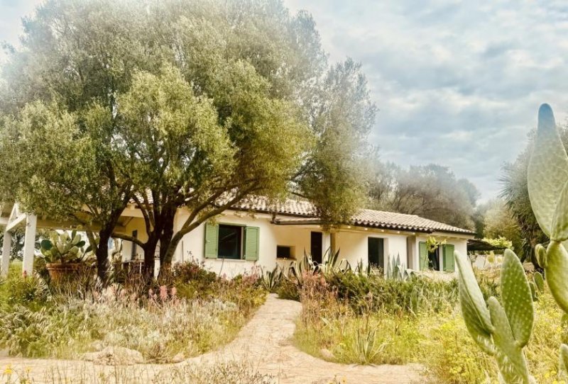 Olbia Wunderschönes Anwesen bei San Pantaleo Haus kaufen