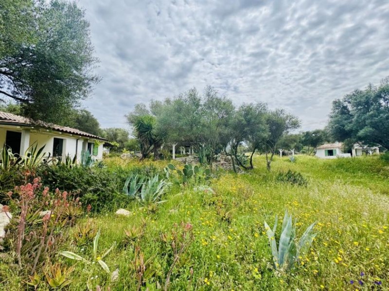 Olbia Wunderschönes Anwesen bei San Pantaleo Haus kaufen