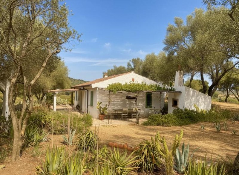 Olbia Wunderschönes Anwesen bei San Pantaleo Haus kaufen