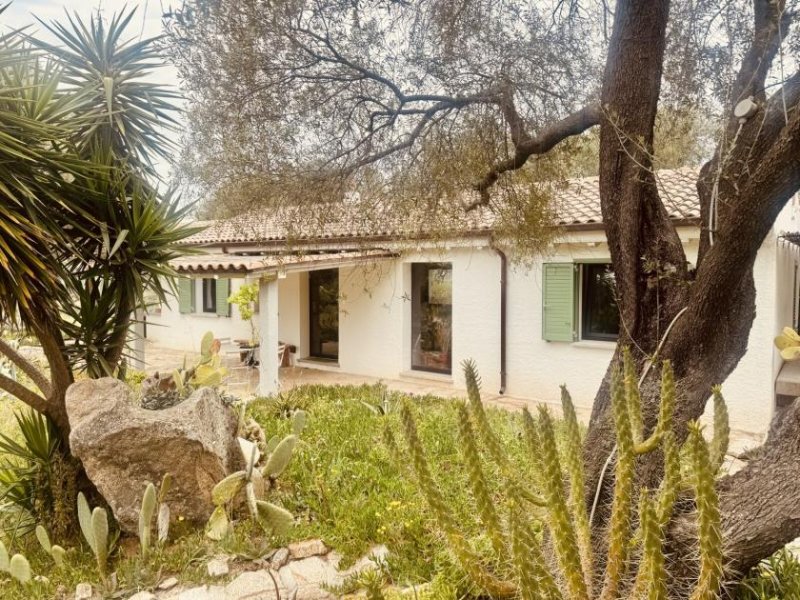Olbia Wunderschönes Anwesen bei San Pantaleo Haus kaufen