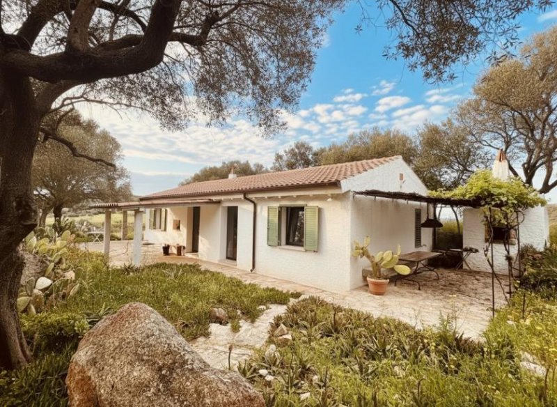 Olbia Wunderschönes Anwesen bei San Pantaleo Haus kaufen