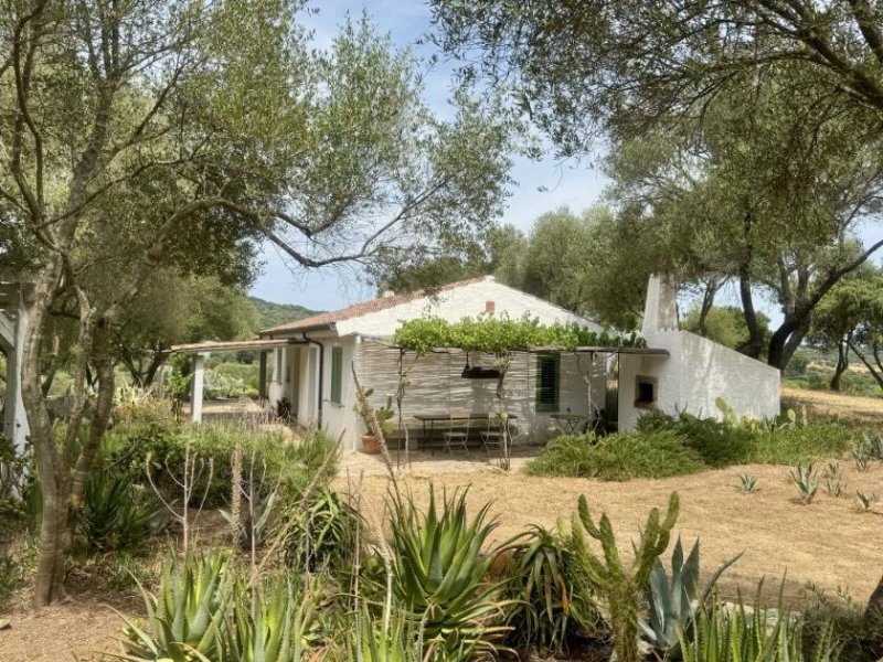 Olbia Wunderschönes Anwesen bei San Pantaleo Haus kaufen