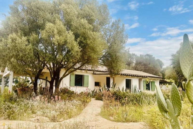 Olbia Wunderschönes Anwesen bei San Pantaleo Haus kaufen
