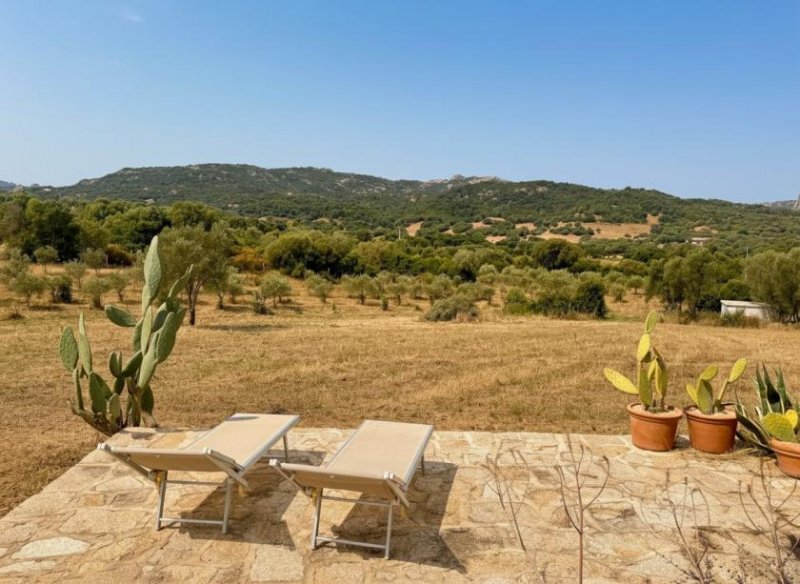 Olbia Wunderschönes Anwesen bei San Pantaleo Haus kaufen