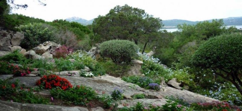 Porto Rotondo Villa Porto Rotondo in vendita in un’oasi di pace alle porte della Costa Smeralda Haus kaufen