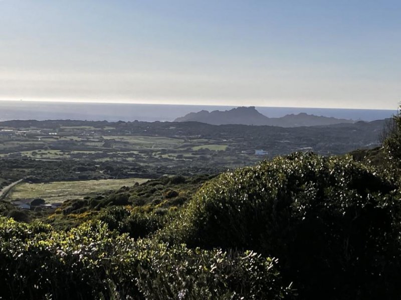 Santa Teresa Gallura Sehr gepflegte Villetta mit fantastischem Meerblick, Santa Teresa Gallura Haus kaufen