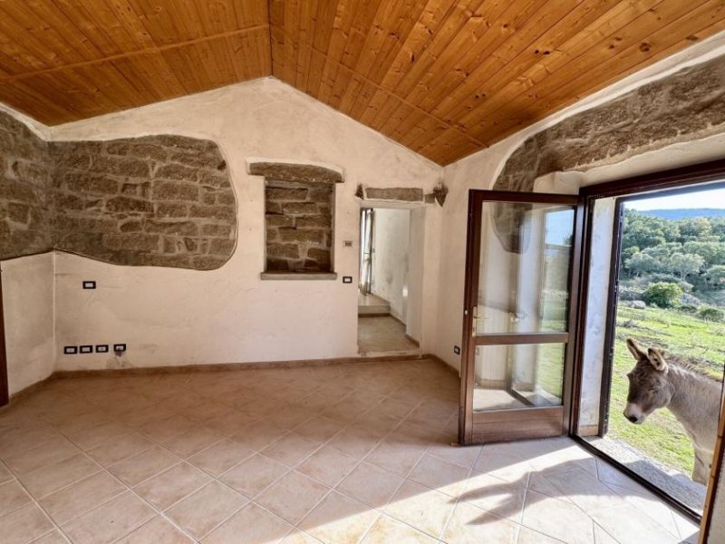 Tempio Pausania Absolute Ruhe, 13 Hektar, 4000 Korkeichen Haus kaufen