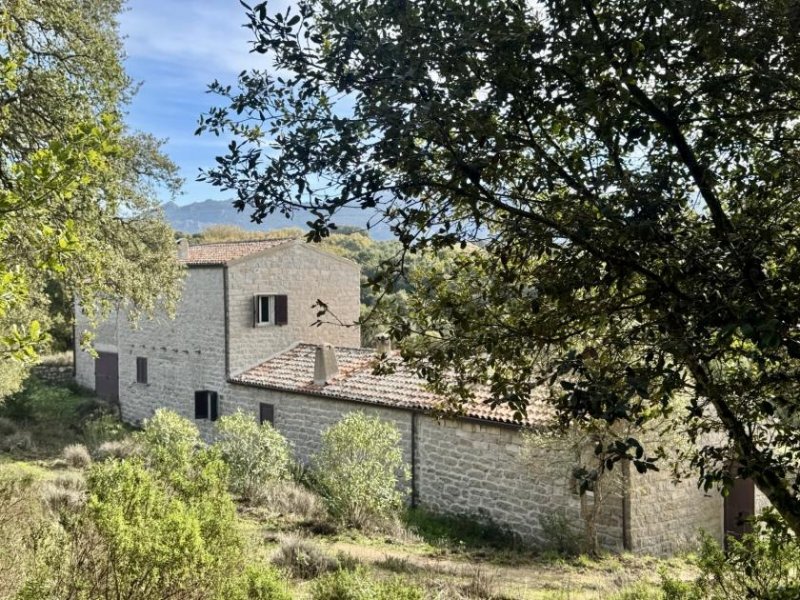 Tempio Pausania Absolute Ruhe, 13 Hektar, 4000 Korkeichen Haus kaufen