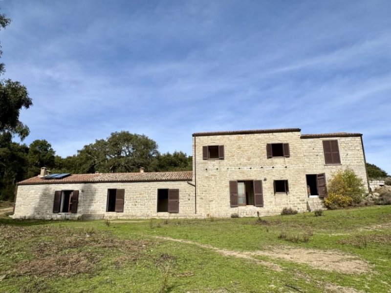 Tempio Pausania Absolute Ruhe, 13 Hektar, 4000 Korkeichen Haus kaufen