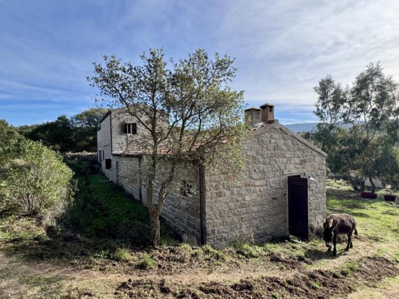 Tempio Pausania Absolute Ruhe, 13 Hektar, 4000 Korkeichen Haus kaufen